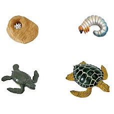 Жизнен цикъл на морска костенурка